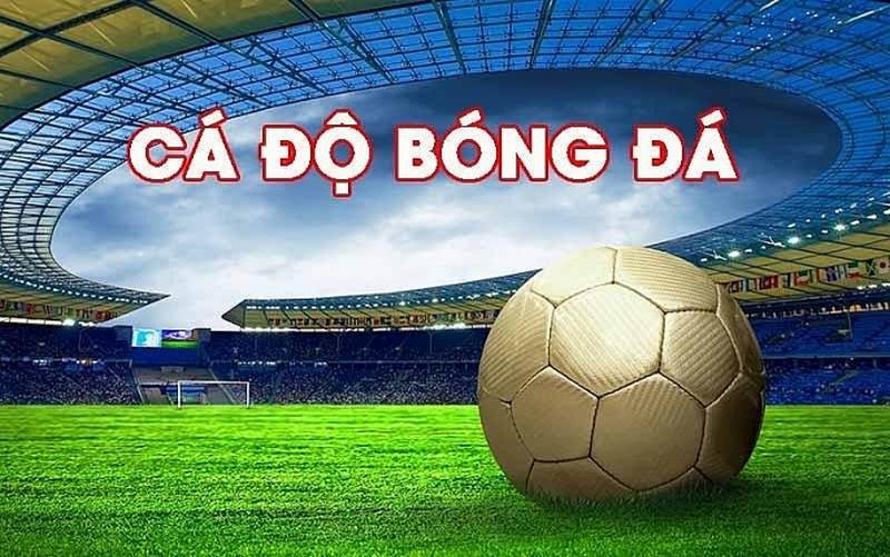 Kèo tài xỉu là gì? Hướng dẫn cách đọc kèo tài xỉu chuẩn xác nhất 6 Kèo tài xỉu là gì 4