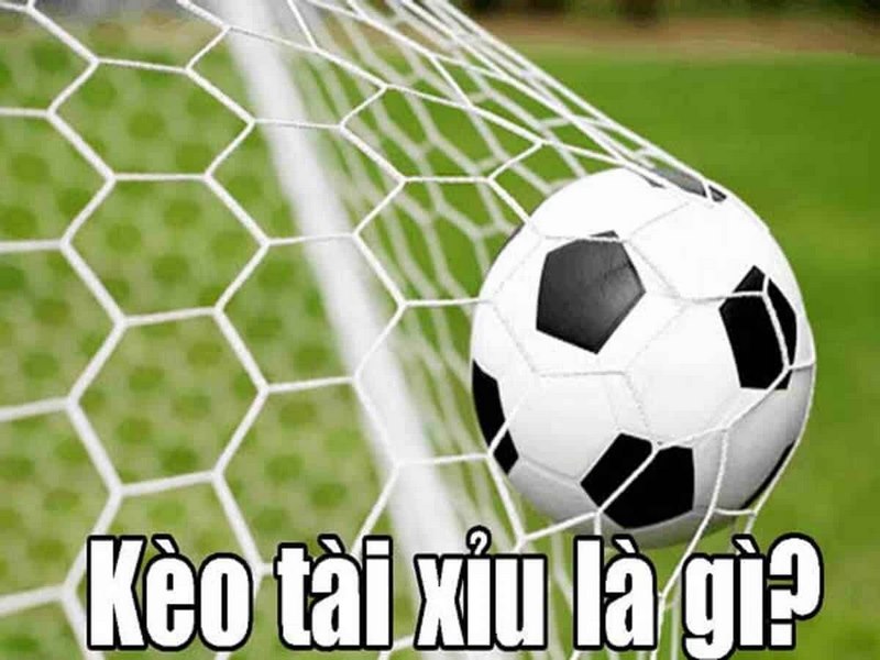 Kèo tài xỉu là gì? Hướng dẫn cách đọc kèo tài xỉu chuẩn xác nhất 5 Kèo tài xỉu là gì 3