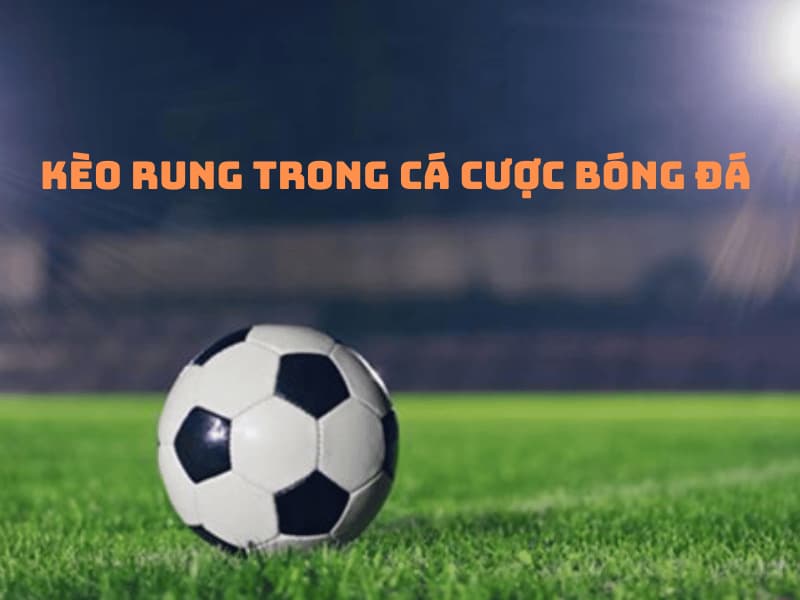 Kèo rung là gì? Bí quyết đánh kèo rung ăn chắc nhà cái cho người mới 6 Quy luật chơi kèo rung