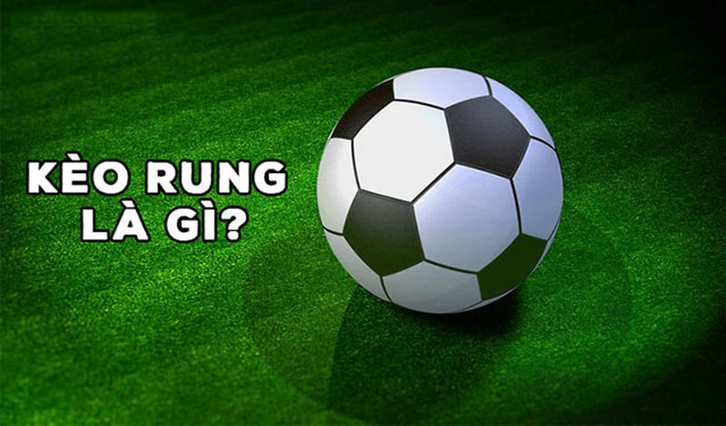 Kèo rung là gì? Bí quyết đánh kèo rung ăn chắc nhà cái cho người mới 5 Tìm hiểu kèo rung là gì?