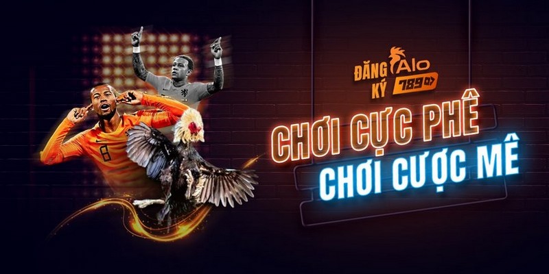 Tìm kiếm link vào alo789top chính xác không sợ lừa đảo - sập phòng 6 Hỗ trợ tìm kiếm thông tin nhanh chóng hơn